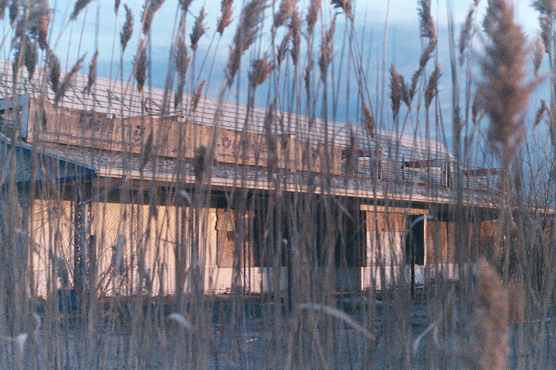 Illustration for article titled So I tried shooting Natura1600 at dusk/night